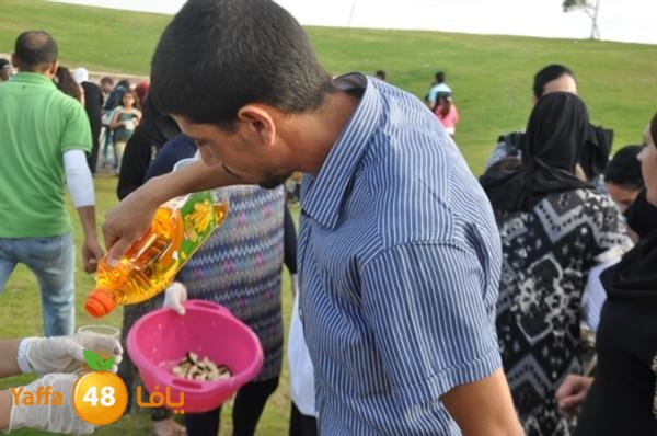 mster shef 0523 (5).JPG